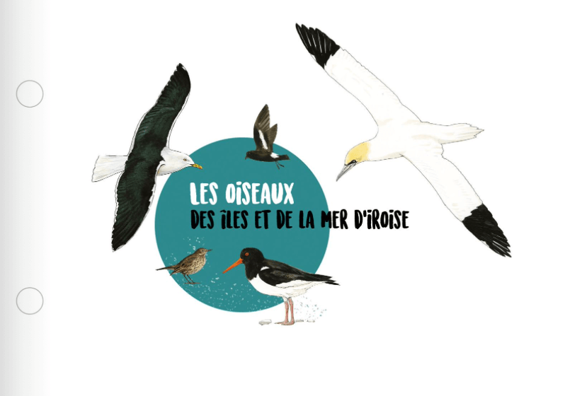 pdf des oiseaux de la mer d'iroise - parc marin d'Ironies